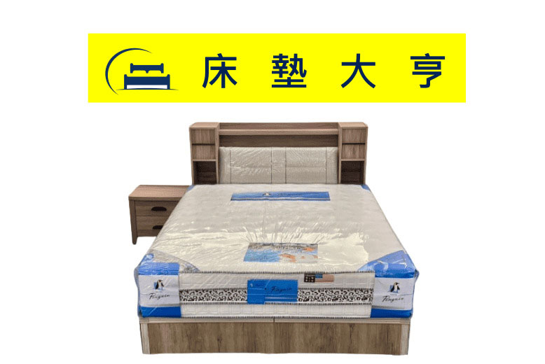 (389)5尺床片+3分底(USB功能)