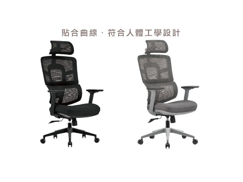 2025 維斯丹(黑 灰)人體工學網椅